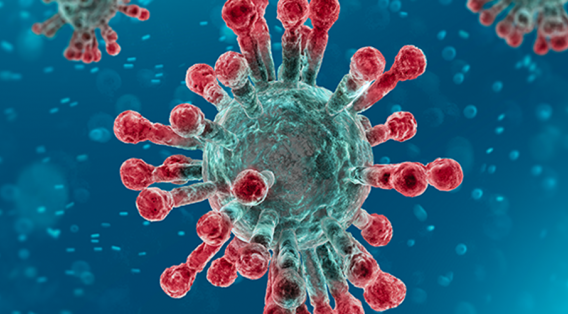 koronawirus
