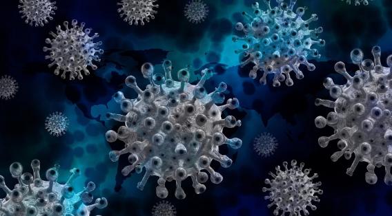 Announcement regarding the work of Nova Metale during the coronavirus pandemic / Autumn 2021